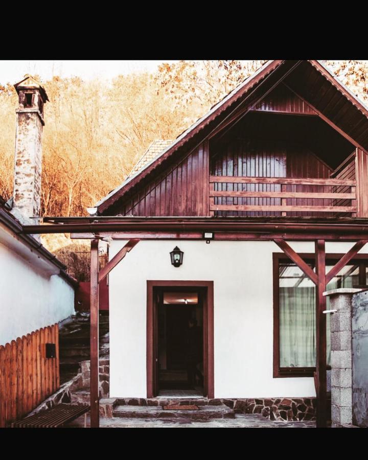 Sedra House Villa Sighişoara Buitenkant foto